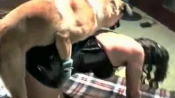 Crazy dog porn zoo home video with a busty mature avid for cock