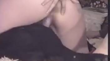 Expecting whore and her buddy take turns with the canine's cock in a great trio