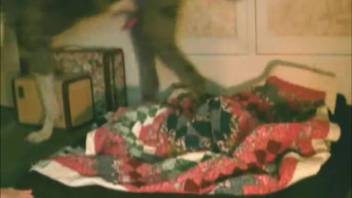 Canine penetrates wedded female in her dual orifices