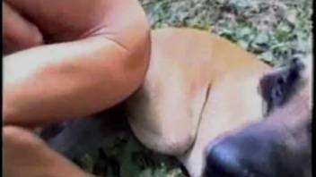 Open-air sex scene starring an attractive bestiality enthusiast