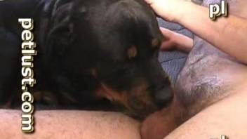 Man fucks dog and enjoys splashing the whole sperm load in its ass