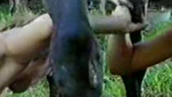 Mature woman performs oral on equine phallus as spouse penetrates her