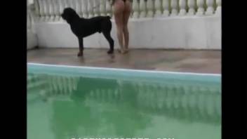 Steamy blond babe in seductive underwear, incredible outdoor bestiality session with a canine