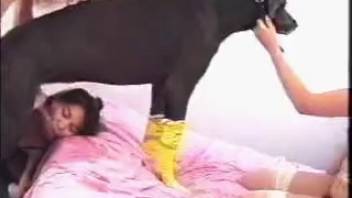 Alluring foreign babe and her blonde buddy screwing a canine
