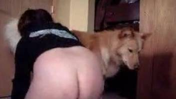 Fat ass wife enjoys the dog to fuck her pussy in crazy zoo scenes