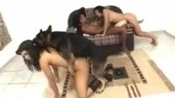 Real amateur lesbians in authentic footage of girl-on-girl animal sex with a dog