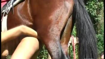 Latina takes a massive equine cock deep in her pussy for full bestiality action
