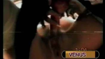 Intense XNXX-style intercourse scenes for women eager to pound animal penises inside them