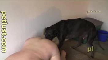 Dog fucks naked mature right down the ass then cums on her face