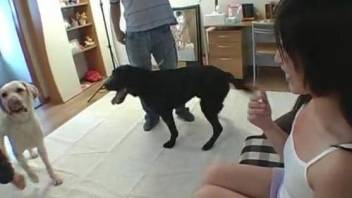 Naughty Asian teen moans with the dog fucking her well