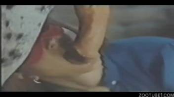 Vintage horse bestiality clips featuring a woman with a massive butt
