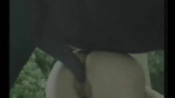 Fair-haired novice slut's vagina penetrated by a horse in intense encounters