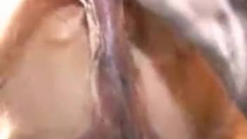 Torn jeans girl eagerly accepting that stallion's dick doggy style