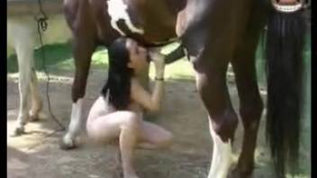 Hottie satisfies her erotic cravings using a horse's dick