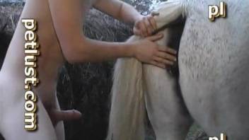 Dude guides his hard boner deep inside this mare's pussy