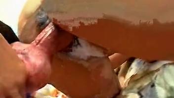 Outstanding bestiality-loving whore gets fucked by filthy canine