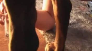 Teen girl swallows semen extracted from canine cock