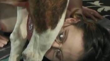 Bitch with glasses, insane sex play with the dog