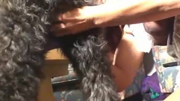 Aroused redhead lets the dog pound her intensely