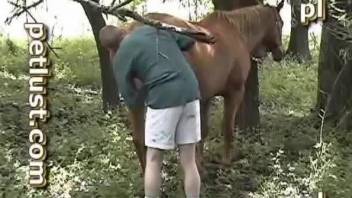 Male shoves fingers and dick into friendly mare's vagina
