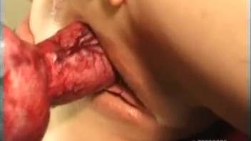 Blond bombshell performs oral and has intercourse with the canine