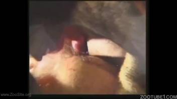 Aroused guy enjoys messing around with the canine