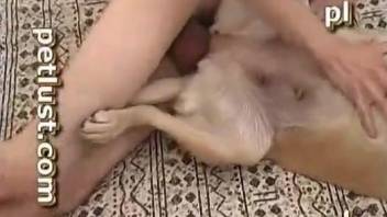Dog porn in the bedroom for a naked amateur lad