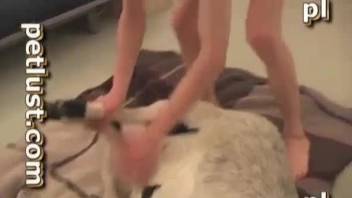 Man deep fucks his furry dog in merciless modes