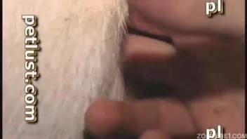 Pounded rough in doggy style up a snug butthole