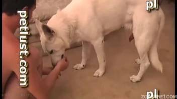 Man bangs his canine in intense porn sequences