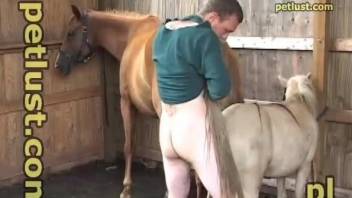 Guy fucks horse in the ass and cums hard