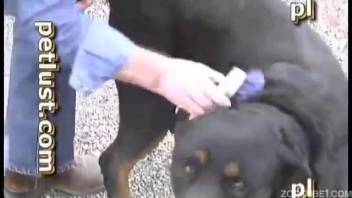 Guy gets pounded by his obedient black canine