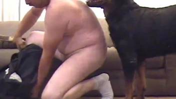 Fat guy makes dog excited to poke asshole with its cock
