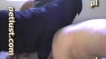 Dog fucks naked mad after a smashing blowjob