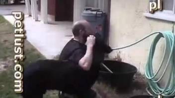 Rottweiler shoves his big cock into bald man's ass