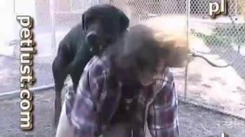 Girl fucked by huge dog swallows its sperm in the end