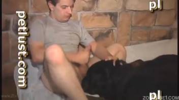 Aroused guy wants to pound his canine's dick