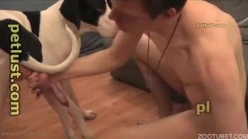 Homemade amateur clips of intense bestiality in personal porn videos
