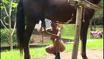 Bare Hispanic babe adores a stallion's massive hard-on live on webcam