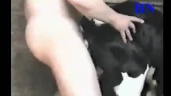 Horny bloke deep fucks baby veal in the ass