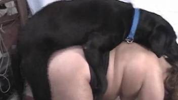 BBW housewife gets her wet cunt plowed by a pooch