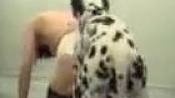 Retro video with a horny housewife and her Dalmatian