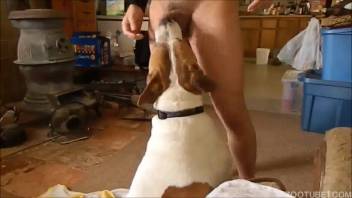 Large-ass guy receives a delightful anal lick from his freaky pooch