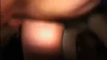 Bare woman positions herself, savoring the intense thrusting from the dog