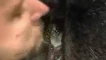Dude eating a delicious mare pussy after fucking it