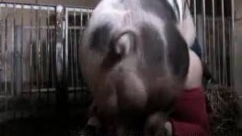 Pig humps naked woman and cums in her vagina