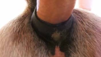 Guy thrusts his cock deep into this creature's snug vagina
