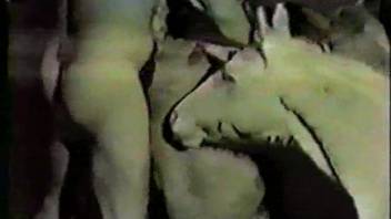 Guy anally bangs cow during wild homemade webcam performance