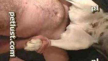 Naughty dog getting fucked violently by a hung stud