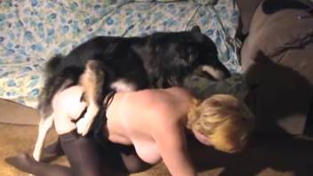 Collared mom being forcefully pounded by a perverted pup